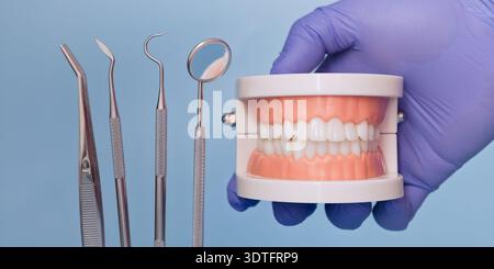Dental Instruments and Denture Model in Blue Medical Glove on Light Stock Photo