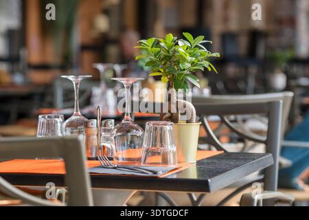 Restaurant Table Setting with Bonsai Tree and Wine Glasses Stock Photo