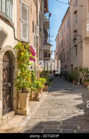 Picturesque Narrow Cobblestone Street with Flowers in Cannes Old Town Stock Photo