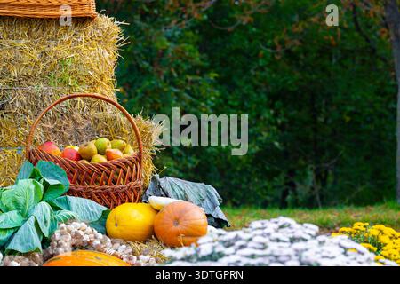 A bountiful collection of fresh vegetables and fruits are arranged on hay bales and the ground, showcasing the richness of the fall season Stock Photo
