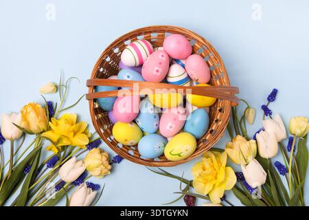 Easter colored painted eggs in basket with yellow daffodils, white tulips, and blue muscari on gray background with space for text and greetings. Easter and spring concept. Spring background Stock Photo