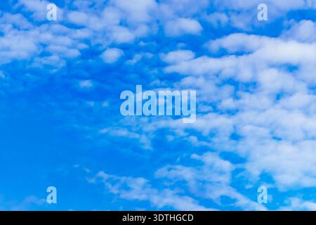 Bright Blue Sky with Scattered White Cirrocumulus Clouds. A vibrant, high-angle shot of a deep blue sky filled with delicate, small white clouds Stock Photo