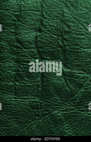 Close up, macro of detailed texture of green glossy metallic effect leather surface with wrinkles, creases and natural grain. Textured luxury material Stock Photo