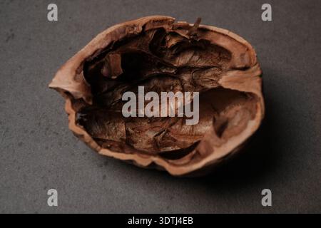 Empty walnut shell half on dark background, close-up, textured interior and cracked edges, natural brown tones, minimal composition Stock Photo