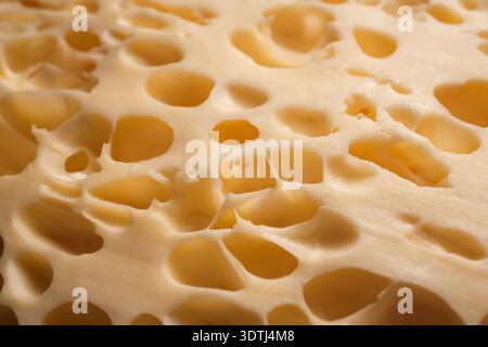 Close-up of swiss cheese with irregular holes and smooth pale yellow texture, appetizing dairy detail Stock Photo