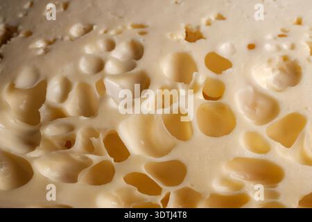 Close-up macro of swiss cheese with irregular holes and creamy yellow texture, studio-lit food photography Stock Photo