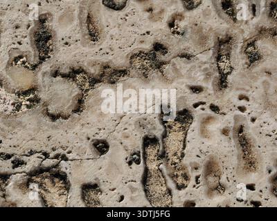 Natural texture of porous beige travertine stone block Stock Photo