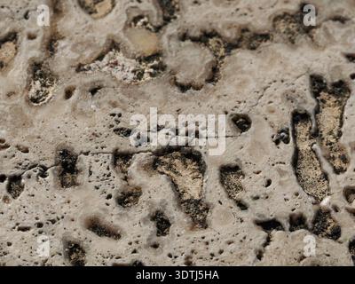 Natural texture of porous beige travertine stone block Stock Photo