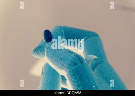 High-resolution conceptual image of a robotic hand holding medical pills, symbolizing artificial intelligence in healthcare and pharmaceutical innovat Stock Photo