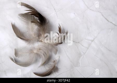 Duck down lying on marble like surface. Copy space to the right of horizontal photo. Stock Photo