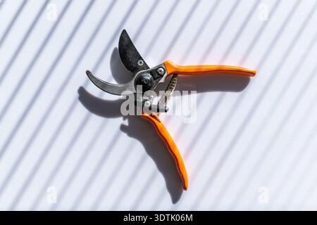 Orange garden pruners on a light surface with dramatic striped shadows from window blinds, minimalist still life with strong contrast and modern light Stock Photo
