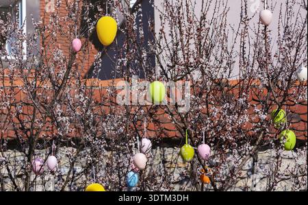 A view of blooming spring branches and Easter decorations outdoors Stock Photo