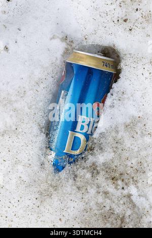 An empty beer can in a snow bank,Quebec,Canada Stock Photo