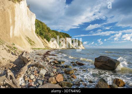 Chalk cliffs and rocky beach with boulders and tree trunks on the Baltic Sea under blue sky with cumulus clouds, Jasmund National Park, Ruegen Island Stock Photo