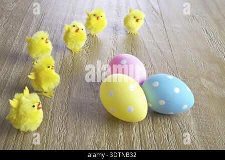 Multicolored easter eggs and chickens on wooden background Stock Photo