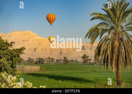 Heissluftballons mit Touristen über dem antiken Theben bei Luxor, Ägypten, Afrika  |  Tourist hot air balloons over ancient Thebes near Luxor, Egypt, Stock Photo