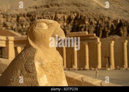Falkenstatue des Horus am Totentempel der Hatschepsut und des Mentuhotep II in Deir el-Bahari, Theben West bei Luxor, Ägypten, Afrika  |  Statue of th Stock Photo