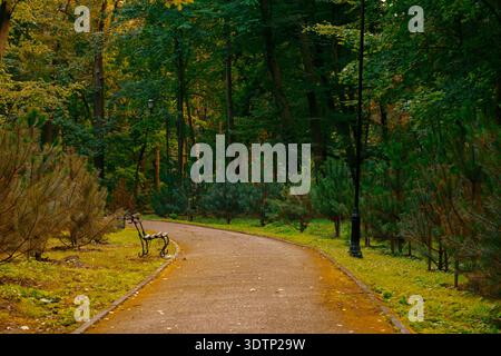 A winding pathway through a serene park invites contemplation with an empty bench nestled amongst vibrant foliage and tall trees Stock Photo