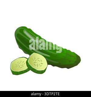 Fresh cucumber with slices vector illustration Stock Vector