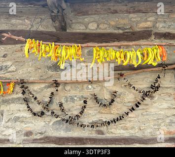 Peppers strung on a string to dry Stock Photo