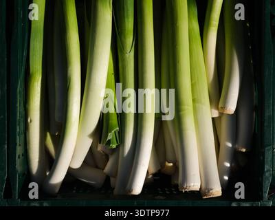 Leaks on display at a market stall. Stock Photo