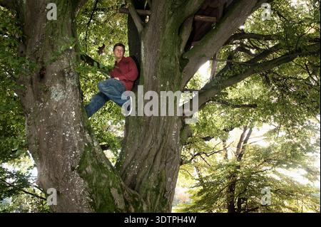 Young man sitting in large tree in autumn forest Stock Photo