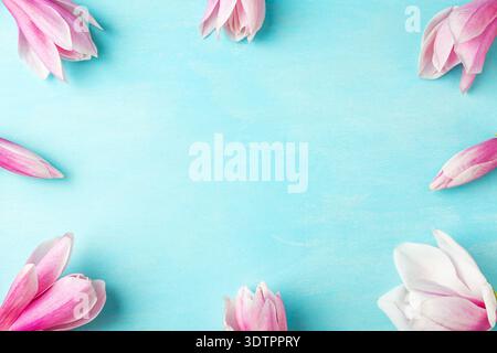 Pink magnolia flowers frame on pastel blue wooden background. Romantic floral flat lay with copy space. Spring blossom banner. Top view. Mothers Day Stock Photo