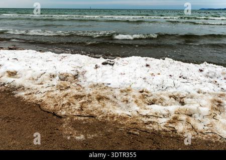 Snow-covered shoreline at water edge with small waves on Baltic Sea, showing winter coastal texture and cold atmosphere Stock Photo