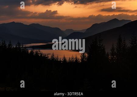 Dark silhouettes of pine trees and mountains frame a golden body of water under a dramatic orange and cloudy evening sky. Stock Photo
