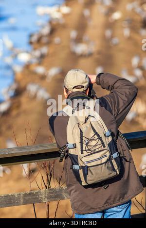 Nature photographer photographing birds in the spring Stock Photo