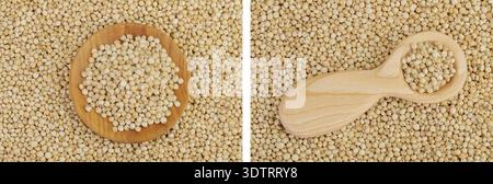 background of sorghum seeds in wooden bowl and spoon. Top view. Flat lay. Stock Photo