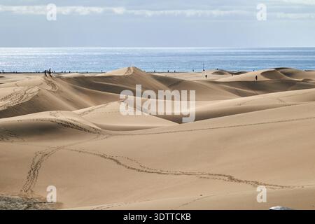 footprint tracks across the sand dunes dunas de maspalomas gran canaria, canary islands, spain Stock Photo
