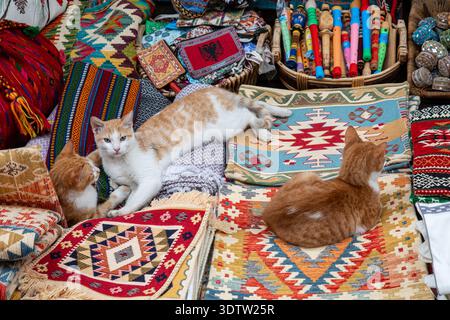 Orang feral cats resting on souvenir rugs on Rruga Gjin Bue Shpata in Gjirokastër, Albania Stock Photo