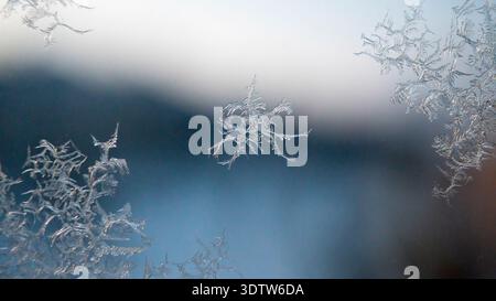 Macro close-up of delicate ice crystal frost patterns on glass with soft blue gray blurred winter background. Stock Photo