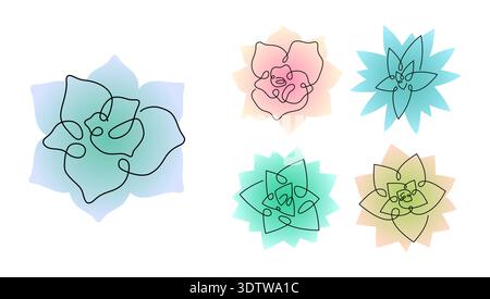 Set of Echeveria icons isolated on white. Succulent variations. Stock Vector