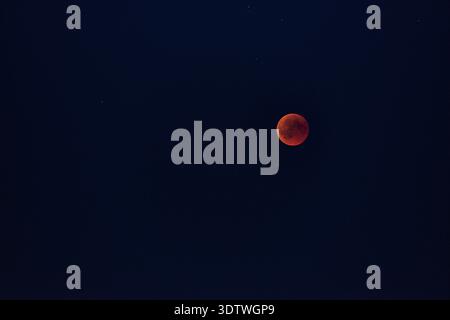 A striking photograph of a total lunar eclipse, often referred to as a blood moon, against a deep, dark blue night sky. The moon glows with a vivid re Stock Photo