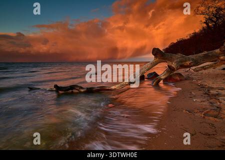 A dramatic coastal landscape at sunset, featuring a large piece of driftwood stretching across the sandy beach and into the water. The sky is filled w Stock Photo