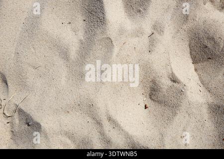 A detailed, top-down view of light-colored beach sand, showcasing its fine-grained texture with subtle undulations and shadows creating natural patter Stock Photo
