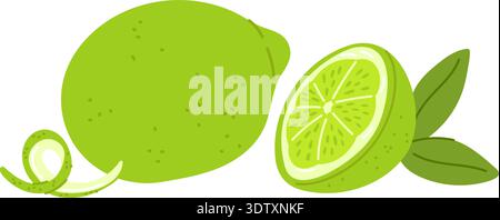 Green lime. Whole fruits and halves of citrus fruit segments. Natural cooking ingredient. Sour taste juice. Healthy vitamin food. Zest and pieces Stock Vector