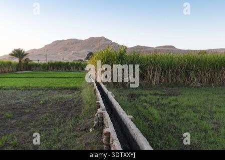 An Egyptian farm irrigation system to channel water from the River Nile to sugar cane plantations in rural Upper Egypt Stock Photo