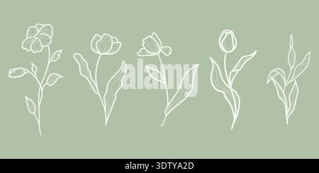 Spring flowers, with petals and leaves. Vector illustration. Set of summer plants and wildflowers, hand drawn, isolated on a green background. Summer Stock Vector