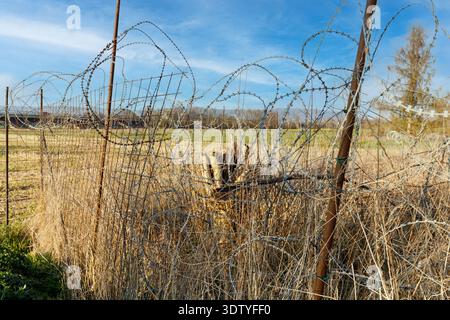 Broken metal fence mesh with barbed wire in farmer's field Stock Photo