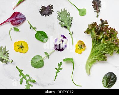 Various types of lettuce and greens are laid out on a white marble countertop. Edible flowers add color to this simple arrangement. This setup suggest Stock Photo