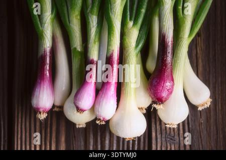Fresh green onions arranged in vertical layout on rustic wooden background. Organic scallions close detail, vibrant stems and tender bulbs Stock Photo
