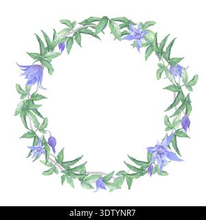A chaplet of clematis flowers. Hand-painted watercolor illustration, isolated on a white background. Delicate purple flowers, buds with green leaves, Stock Photo