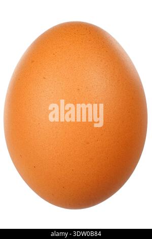 Single brown egg isolated on white background Stock Photo