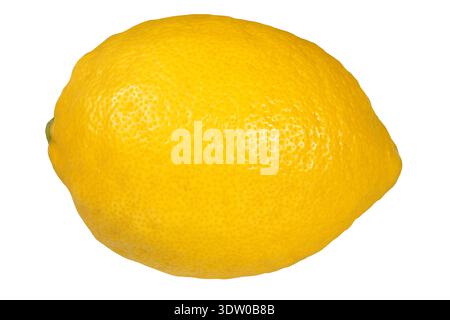 Fresh yellow lemon on white background Stock Photo