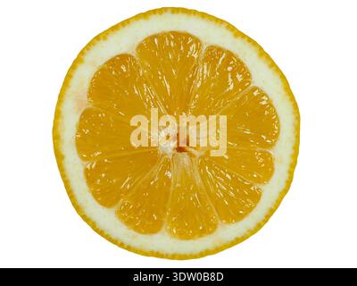 Lemon slice isolated on white background Stock Photo