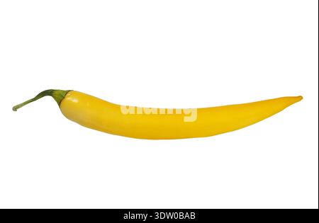 Yellow hot chili pepper isolated on white background Stock Photo