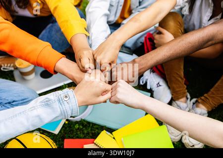 Young group of teenage students joining hands showing support and cooperation Stock Photo